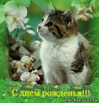 http://anat-kot.ucoz.ru/_nw/1/51053.jpg